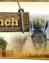 Cattle Hill Ranch
